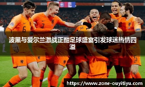 波黑与爱尔兰激战正酣足球盛宴引发球迷热情四溢